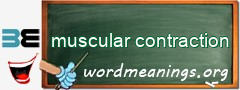 WordMeaning blackboard for muscular contraction